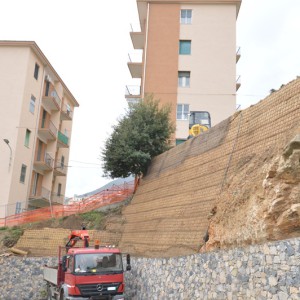 terra rinforzata con geogriglie